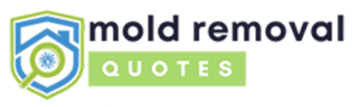 prattville mold removal